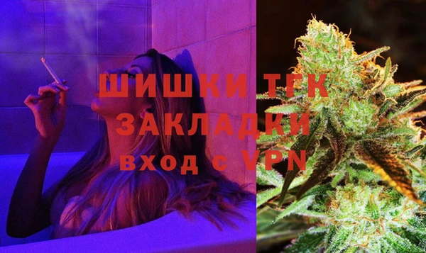 индика Алапаевск