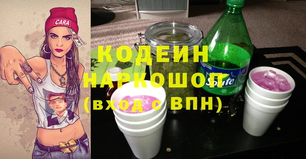 гашик Гусиноозёрск