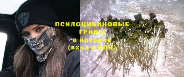 Альфа ПВП Гусев