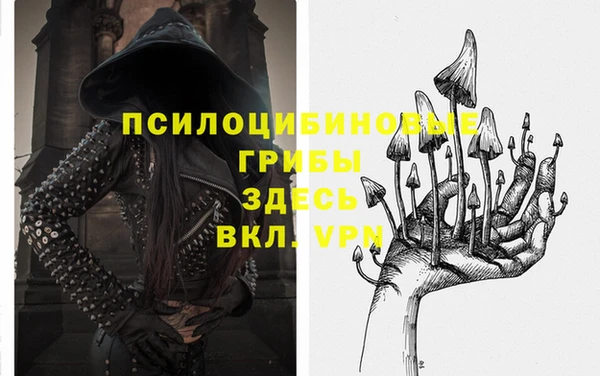 эйфоретик Горнозаводск