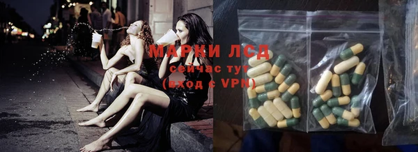 PSILOCYBIN Алагир