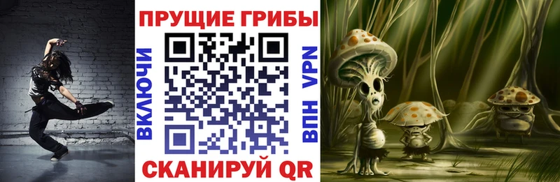 Псилоцибиновые грибы мицелий  Далматово 